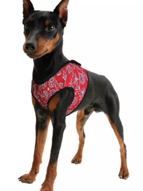 Chladící postroj pro pejsky Aqua CoolKeeper Red Western
