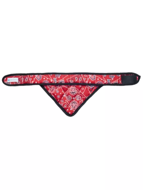 Chladící šátek Aqua CoolKeeper pro pejsky Red Western