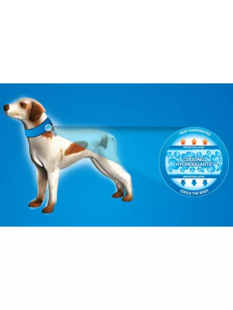Chladící obojek Aqua CoolKeeper pro pejsky Scottish Grey