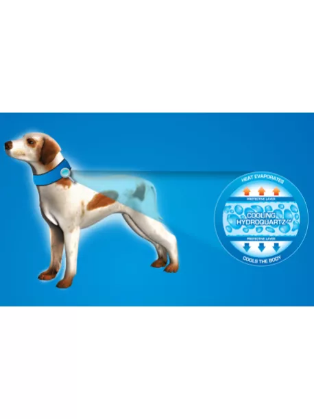 Chladící obojek Aqua CoolKeeper pro pejsky Blue Western