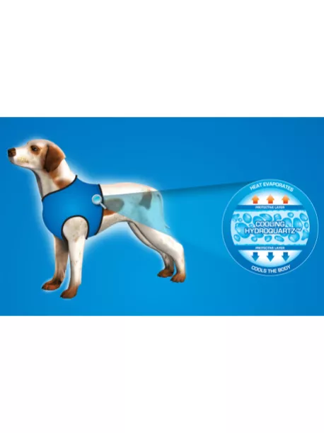 Chladící postroj pro pejsky Aqua CoolKeeper Scottish Grey